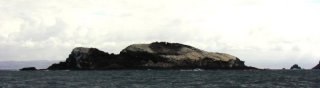 Middle Island, North Tip of South Island