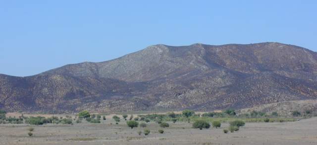 Dikes North of Ignacio Zaragoza
